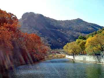 澳门二四六天天彩图库，丰田刹车门